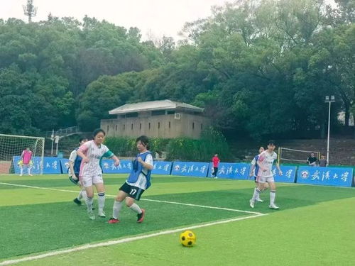 山东省马术项目“选星计划”选拔赛开赛