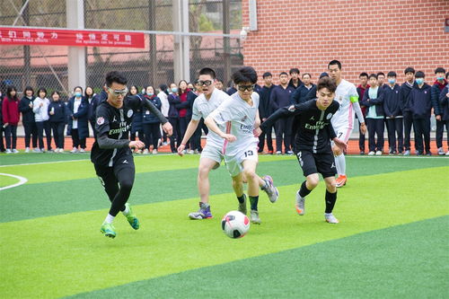 陈俊宇