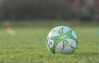 汪海林：中国足协早就放弃了本届世界杯 不想为出线做任何事