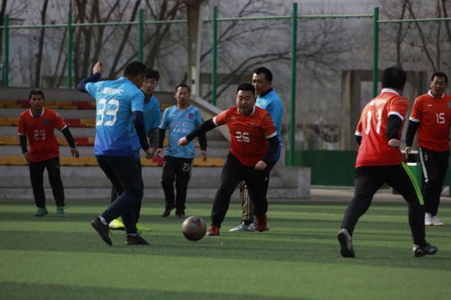 蜘蛛nba直播免费高清直播 封面图