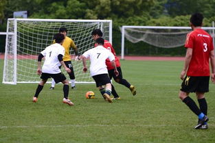 曝皇马三连冠功勋或冬窗离队 他受不了一直替补