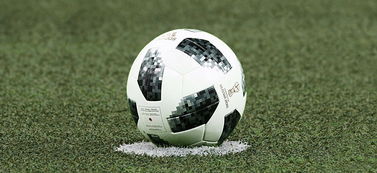 陈淑珍