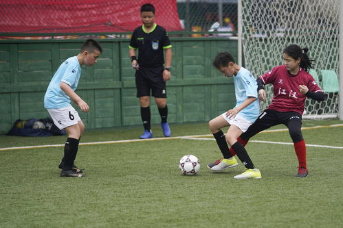 德甲-基米希破门 拜仁2-0领先10分!下轮赢球就夺冠