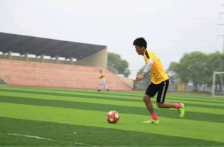 李峰
